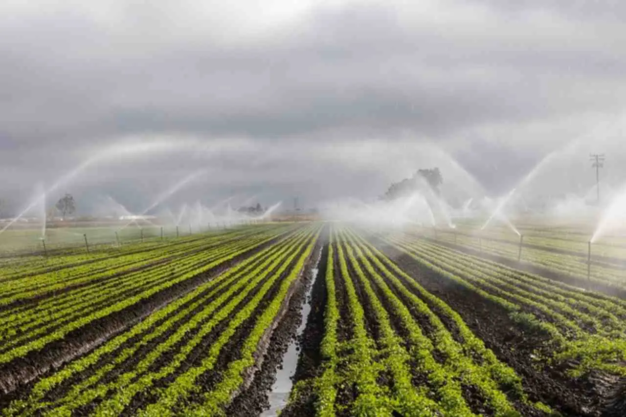 Scopri il sistema di irrigazione usato nei campi industriali now per un balcone sempre verde