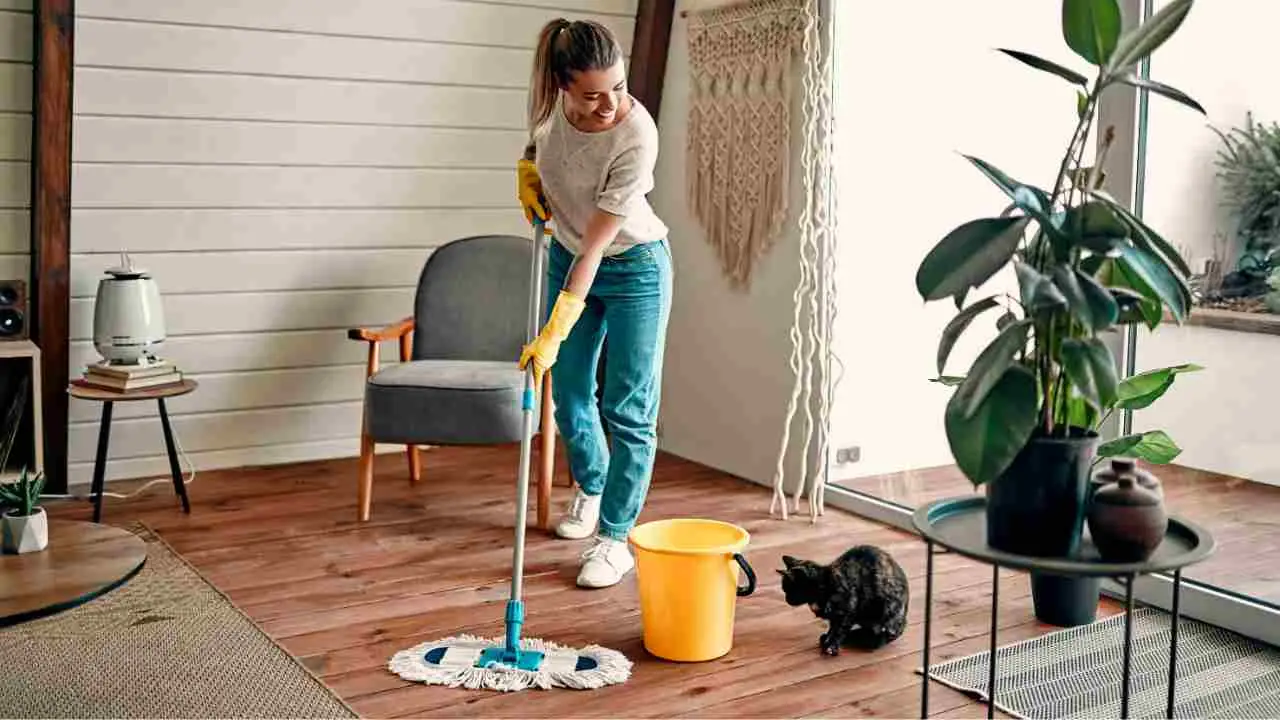 Le 3 regole per lavare i pavimenti senza lasciare aloni: ecco cosa sapere