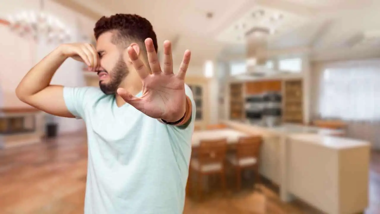 Quali odori possono essere considerati offensivi? Ecco cosa dice il galateo