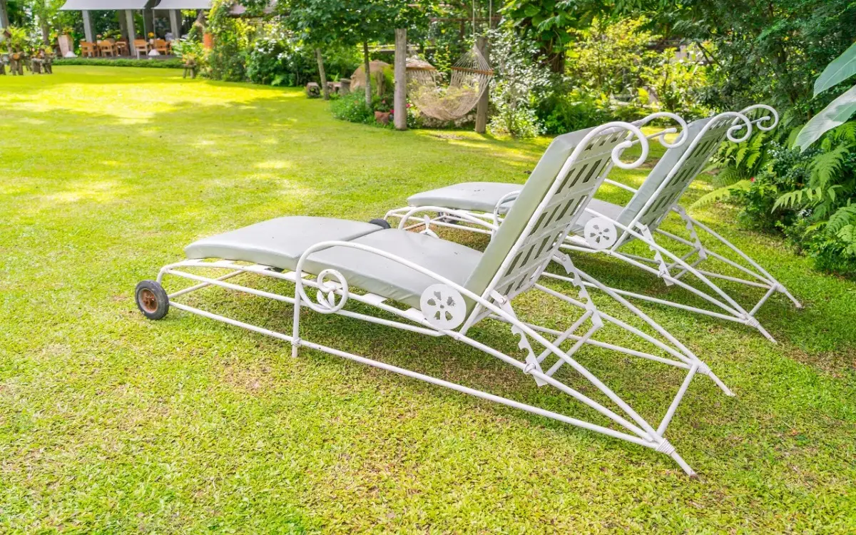 Attenzione se hai un giardino: ecco come difendere il prato dai funghi in arrivo