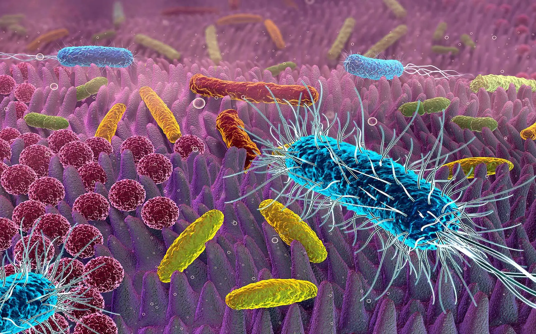 Regole pratiche per evitare le infezioni batteriche più diffuse in estate