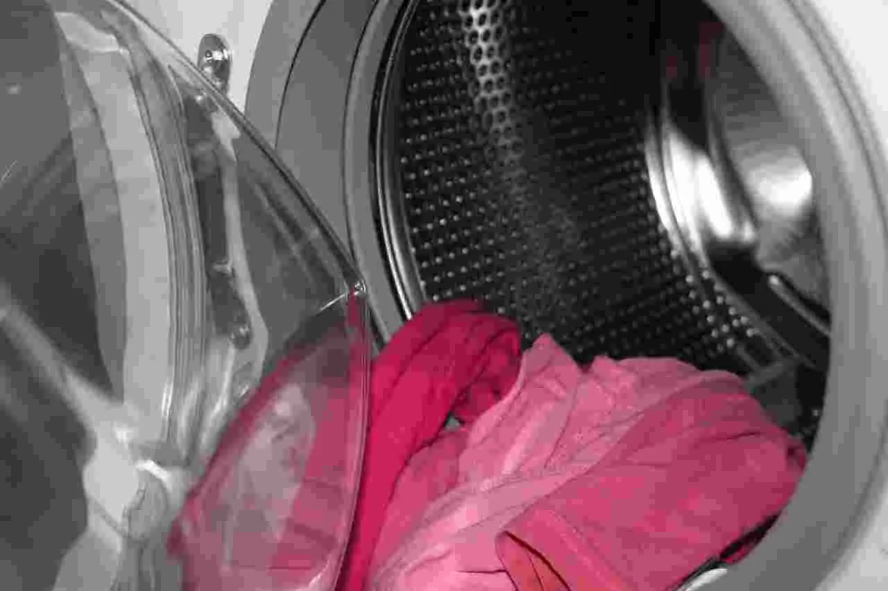 Cosa vuol dire lavare a secco in lavatrice: ecco la risposta