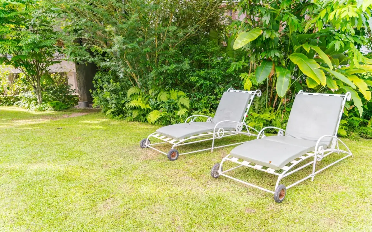 Il periodo ideale per dare nuova vita al tuo giardino: non sbagliare con queste tempistiche