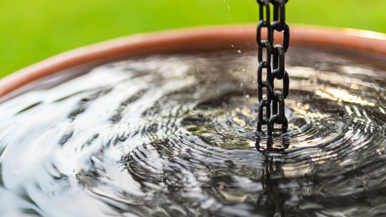 Usi l’acqua piovana per annaffiare? Ecco se contiene calcare e impurità