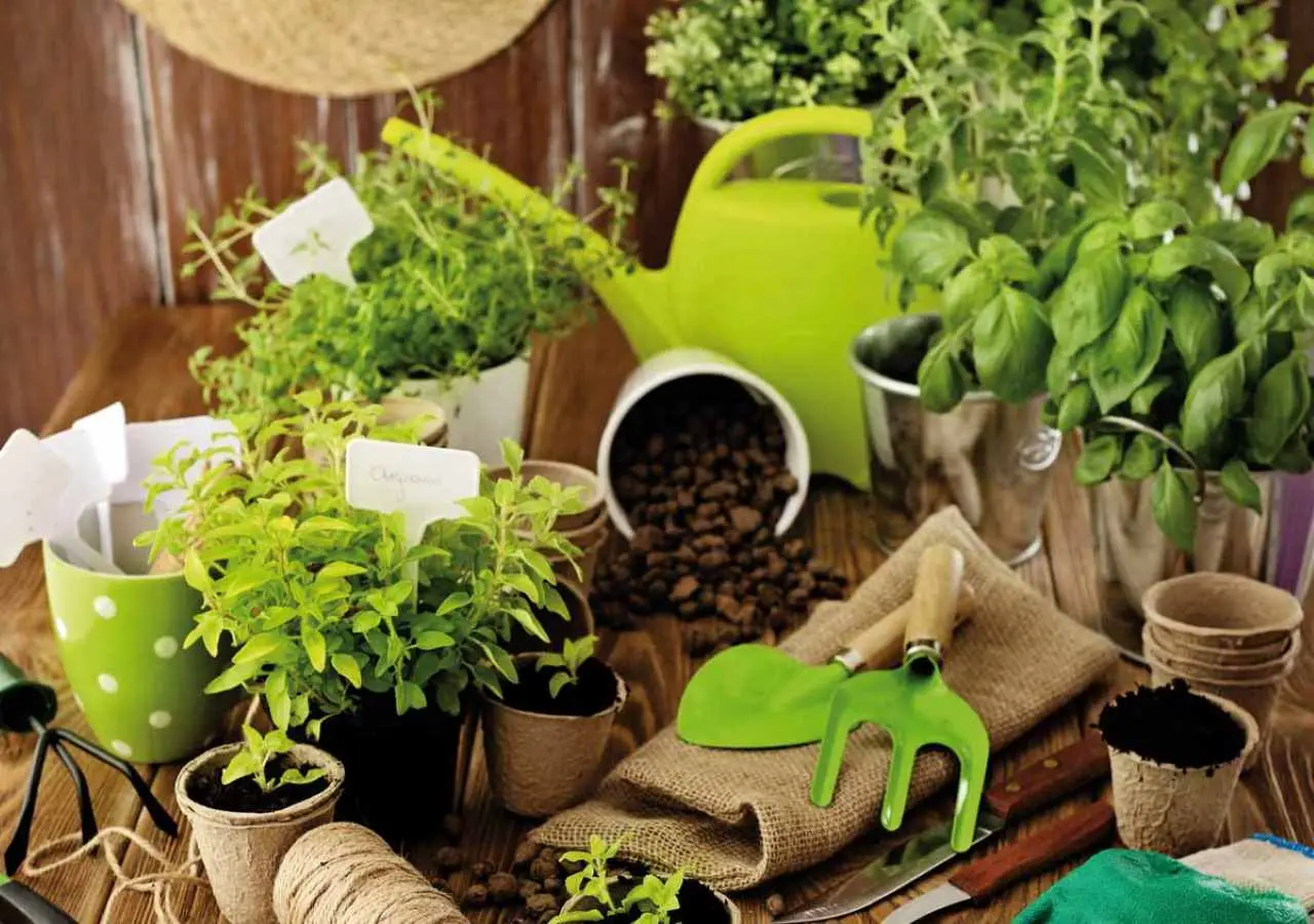 Stai buttando il tessuto del giardinaggio nel posto sbagliato: ecco dove va davvero