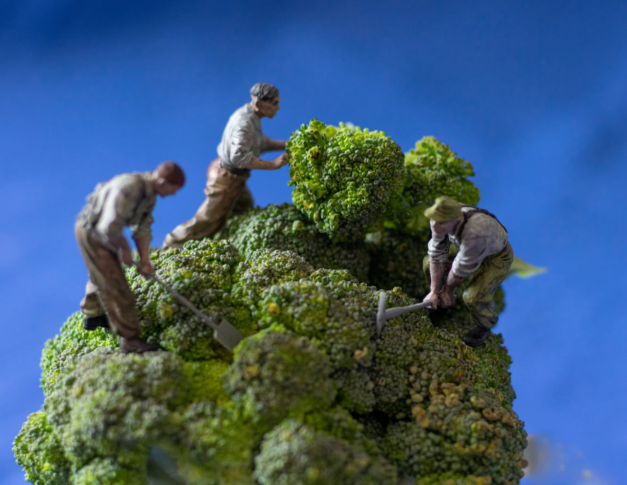 Attenzione giardinieri: ecco l’errore fiscale comune che puoi evitare conoscendo il codice giusto