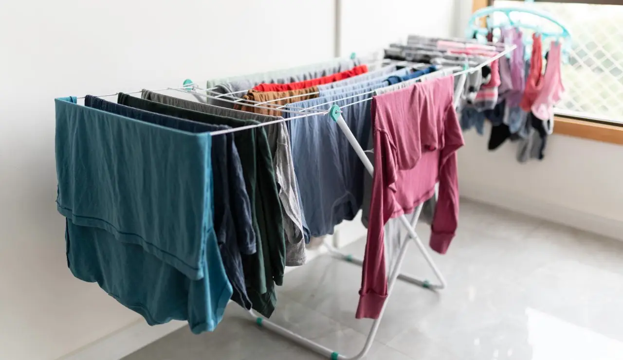 Stendi il bucato un giorno dopo il lavaggio? Ecco cosa succede davvero alla tua biancheria e se puzza