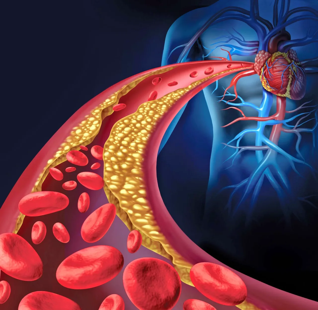 L’abitudine quotidiana che pulisce le tue arterie e protegge il cuore: ecco quale
